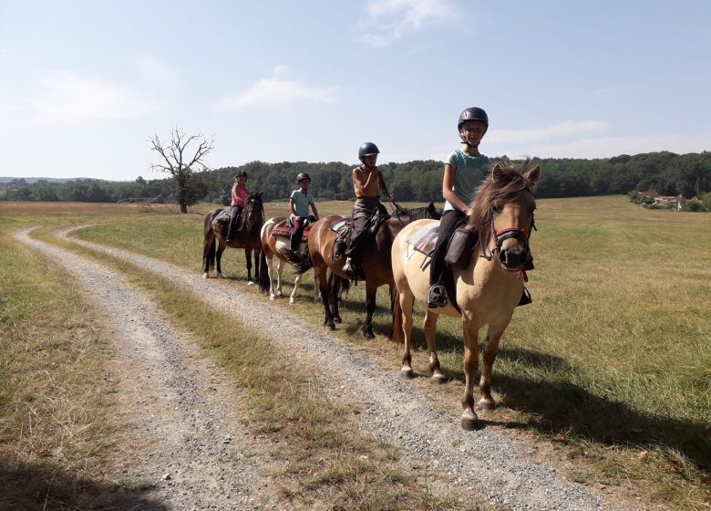 Natura caballo