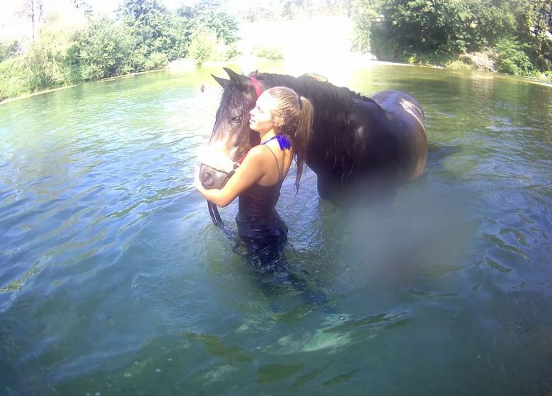 Manege Les Ecuries du Basthel