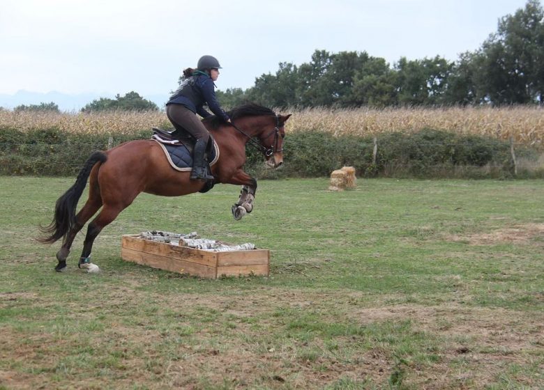 Equestrian center Les Ecuries du Basthel