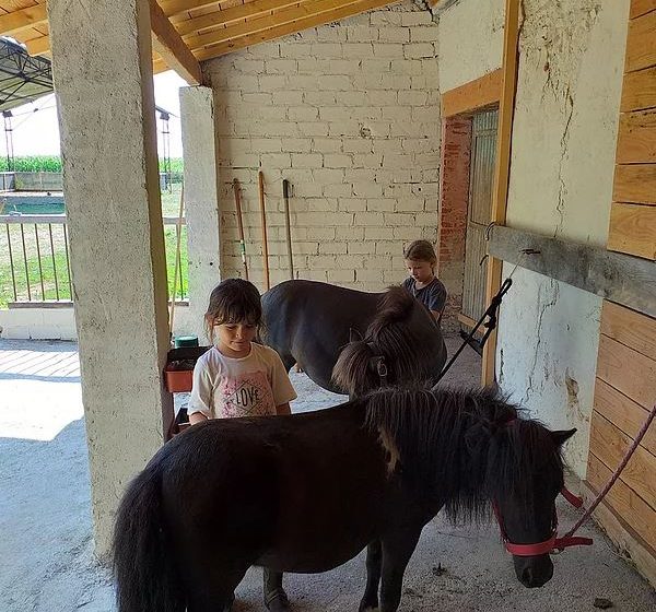 Manege Les Ecuries du Basthel