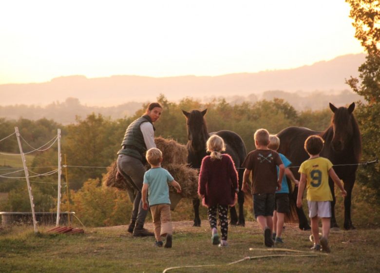 Senior equitazione all'aperto