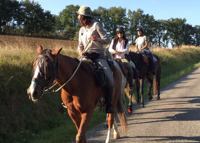 Senior horse riding outdoors