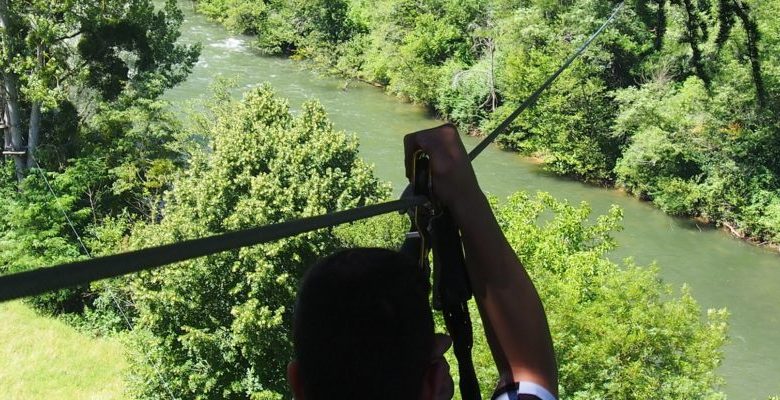 La Belle Verte Arrampicata sugli alberi