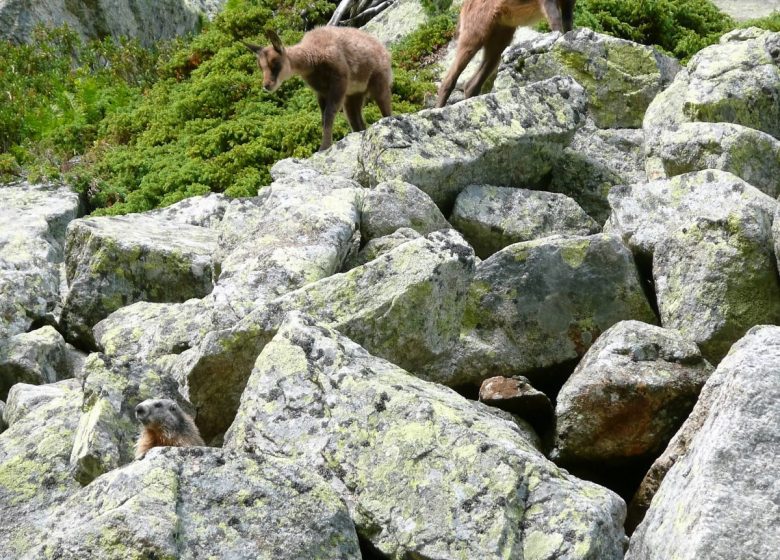 Refuge d’En Beys