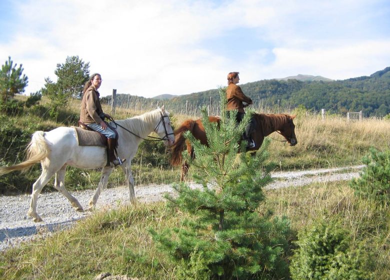 Horseback riding with the horse farm Les Longes Pistes