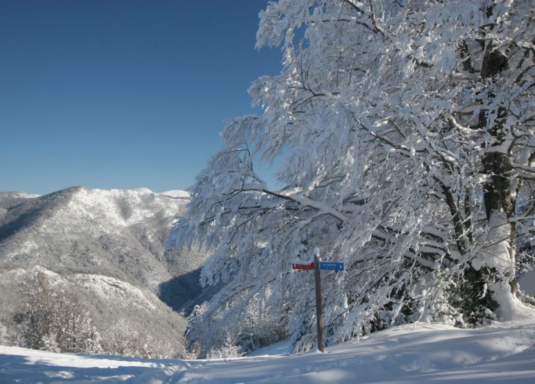 Disabled skiing with ESF Guzet