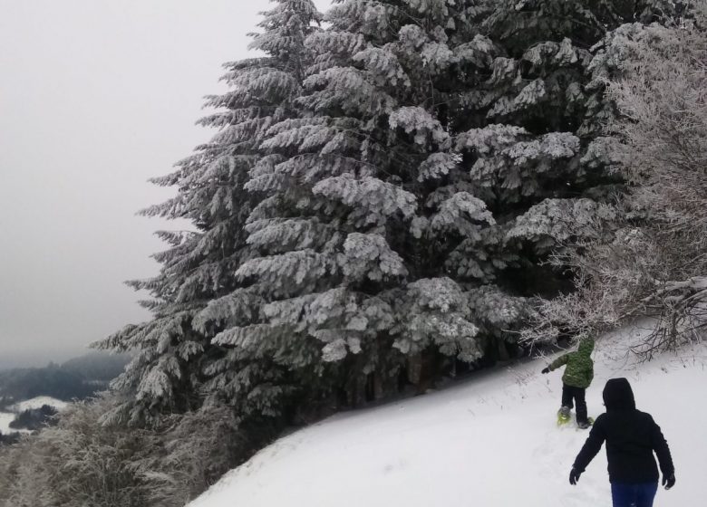 Camin Ariège Pirineos