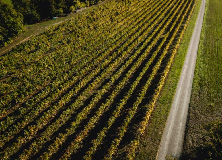 Domaine des côteaux d’Engraviès