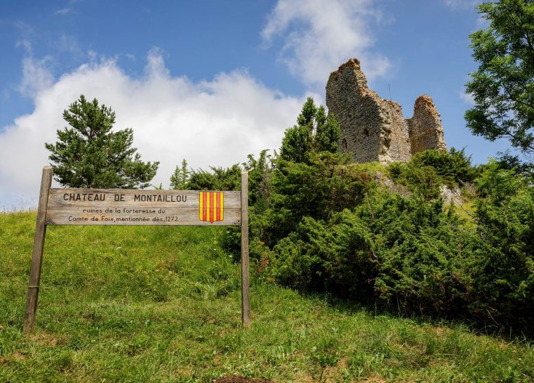 Montaillou castle