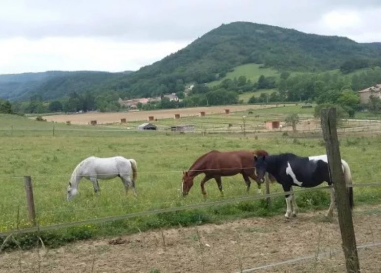 Les cavallerisses de la Barre