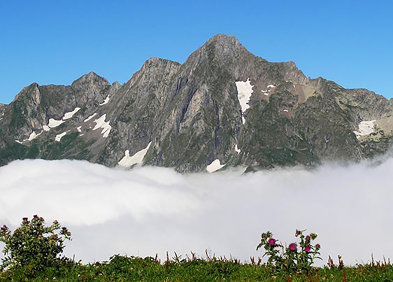 El Pico de la Fonta