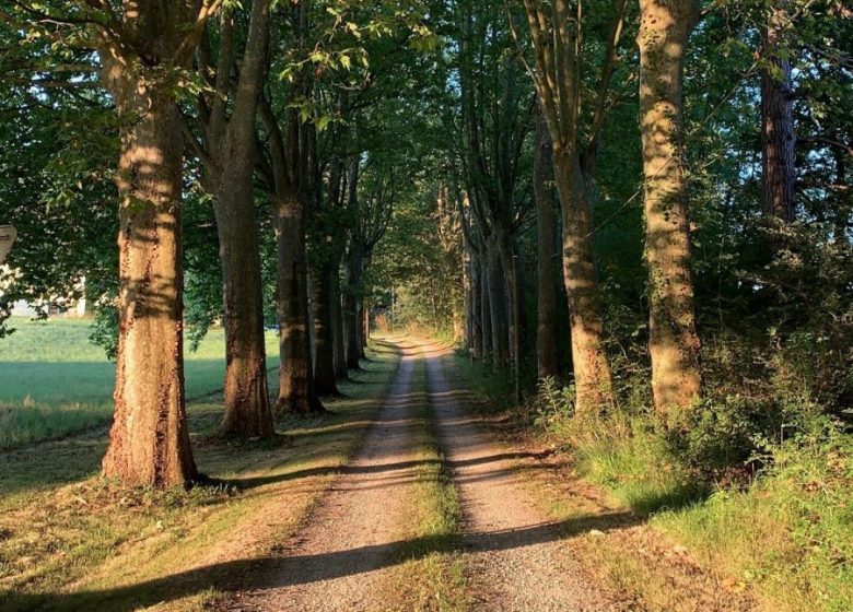 Boyers boerderij