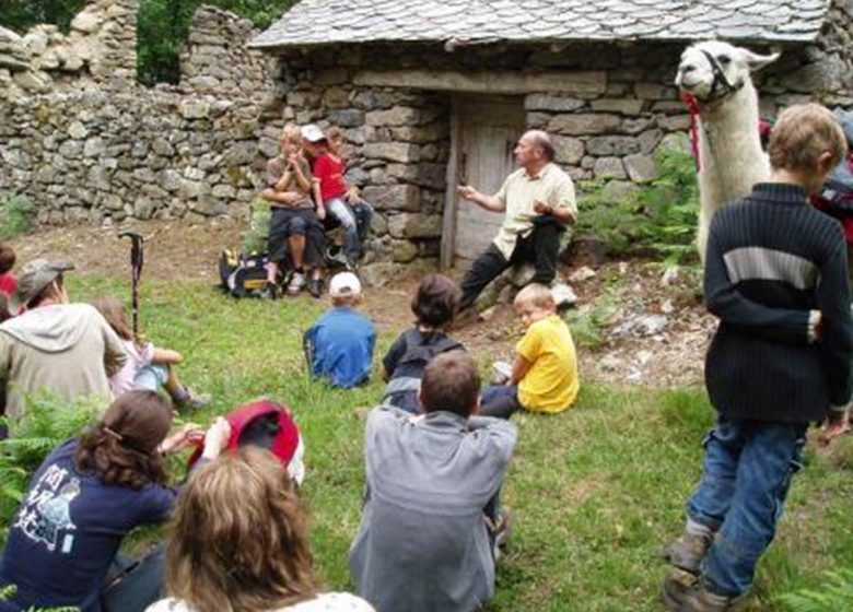 La fattoria dei lama