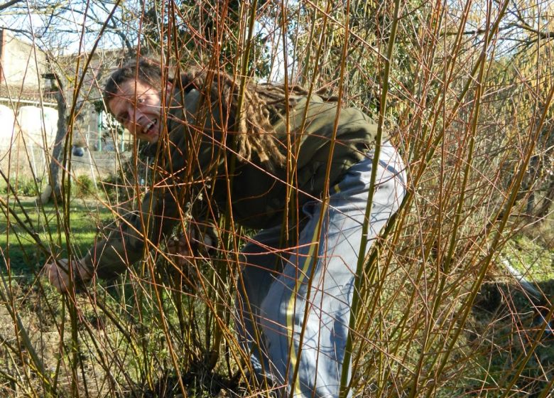 Rieten en mandenwerk Alter'Natura