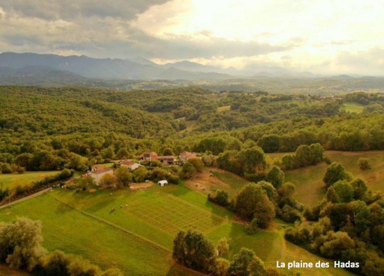 Le tir à l’arc en parcours