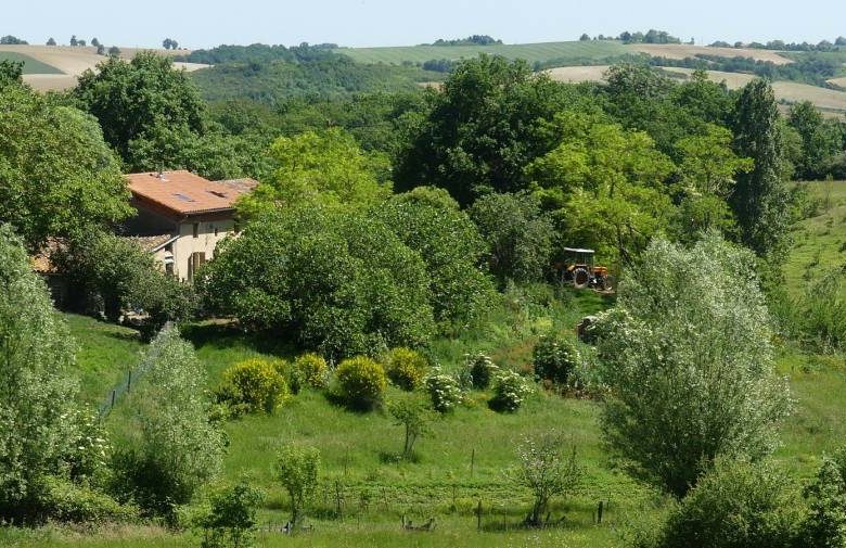 Les trois chardons