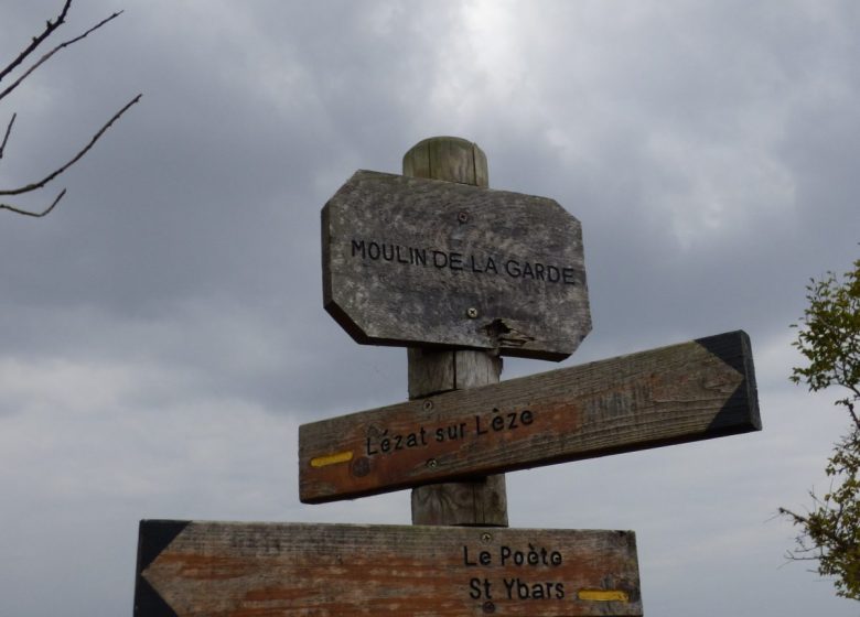 Le chemin de l’âne gris