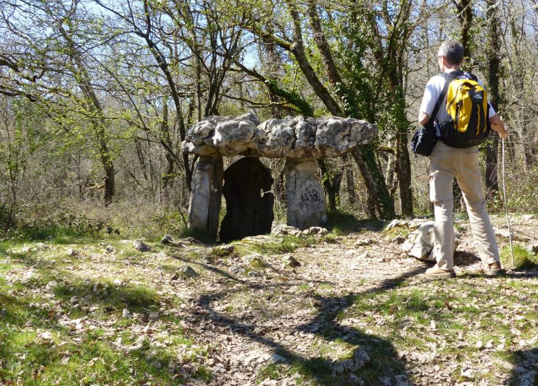 Le dolmen du Cap Del Pouech