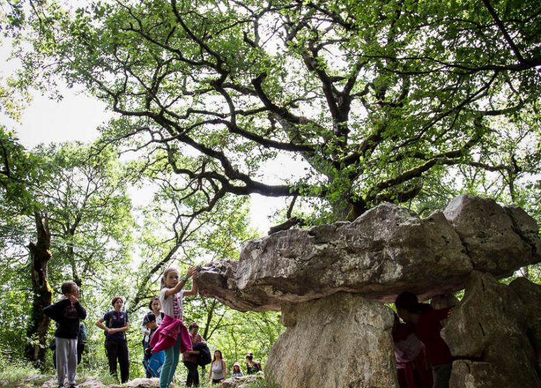 The Cap Del Pouech dolmen