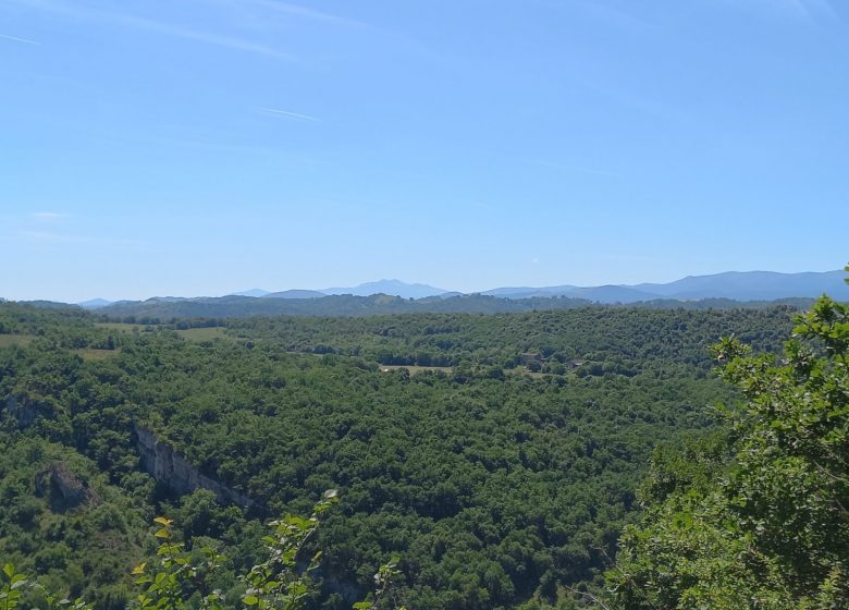 Le sentier du solitaire