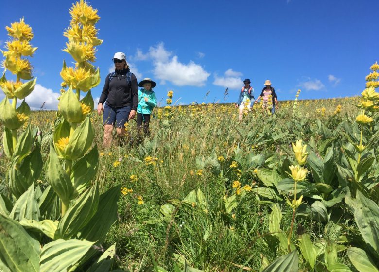 Wandelen met excursies in de Pyreneeën