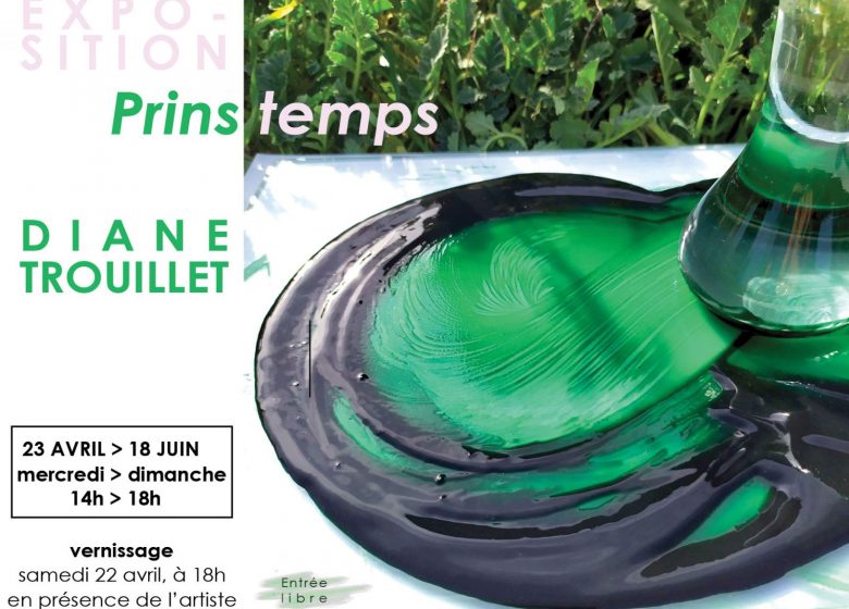 Exposition « Prins temps » par Diane Trouillet