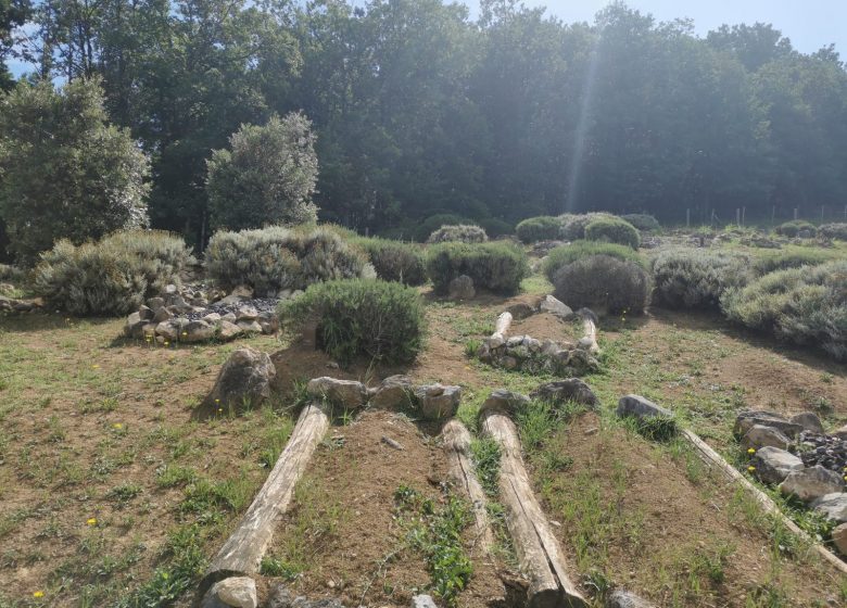 La nécropole de Tabariane