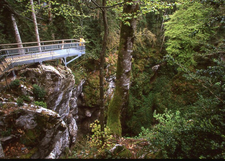 Gouffre des Corbeaux