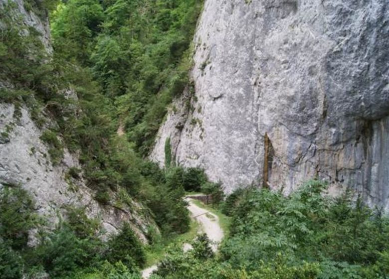 The gorges of La Frau