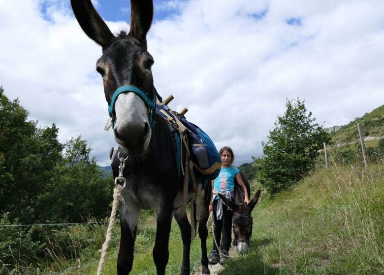 Wandeling met La Ferme aux Anes