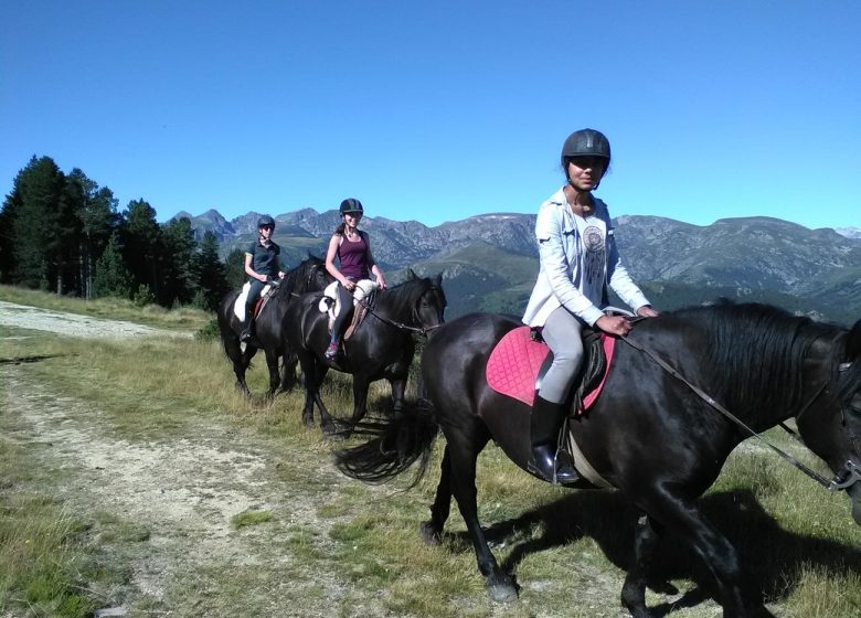 Paardrijden "La Grande Chevauchée" met Angaka Village Nordique