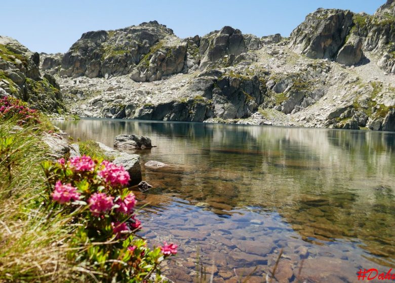 Trail met de Dahu Ariégeois