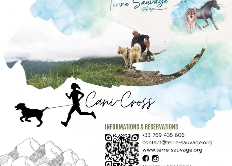 Cani cross with Terre Sauvage