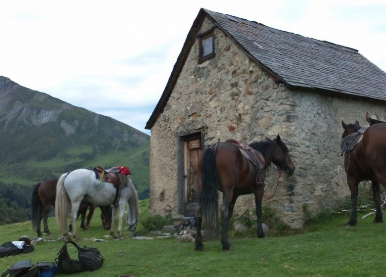 Itinerant horseback riding in the summer pastures