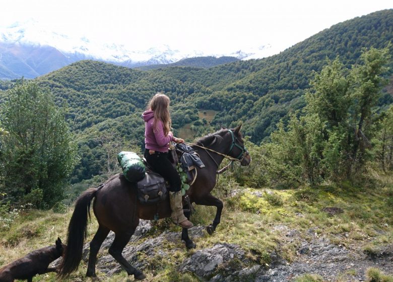 Passeggiate a cavallo itineranti a Castillonnais