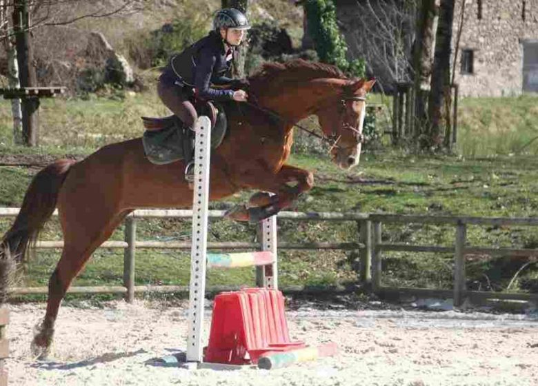 Montcalm stables