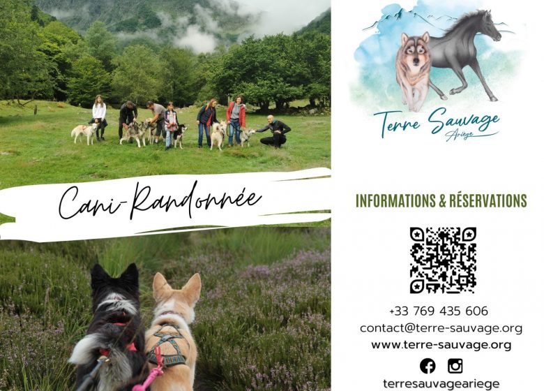 Cani-senderismo con Terre Sauvage