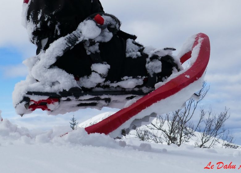 Raquetas de nieve con el Dahu Ariégeois