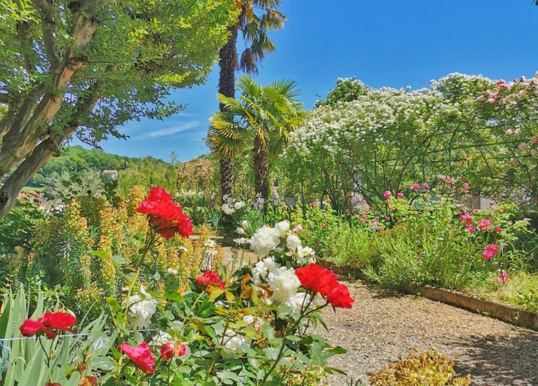 The Garden of the Hotel-Dieu