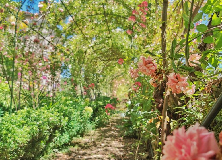 The Garden of the Hotel-Dieu