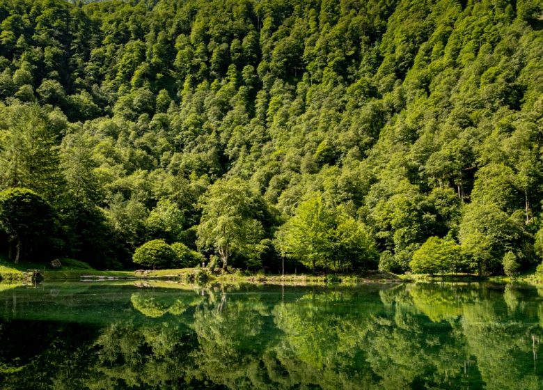 Lago Bethmale