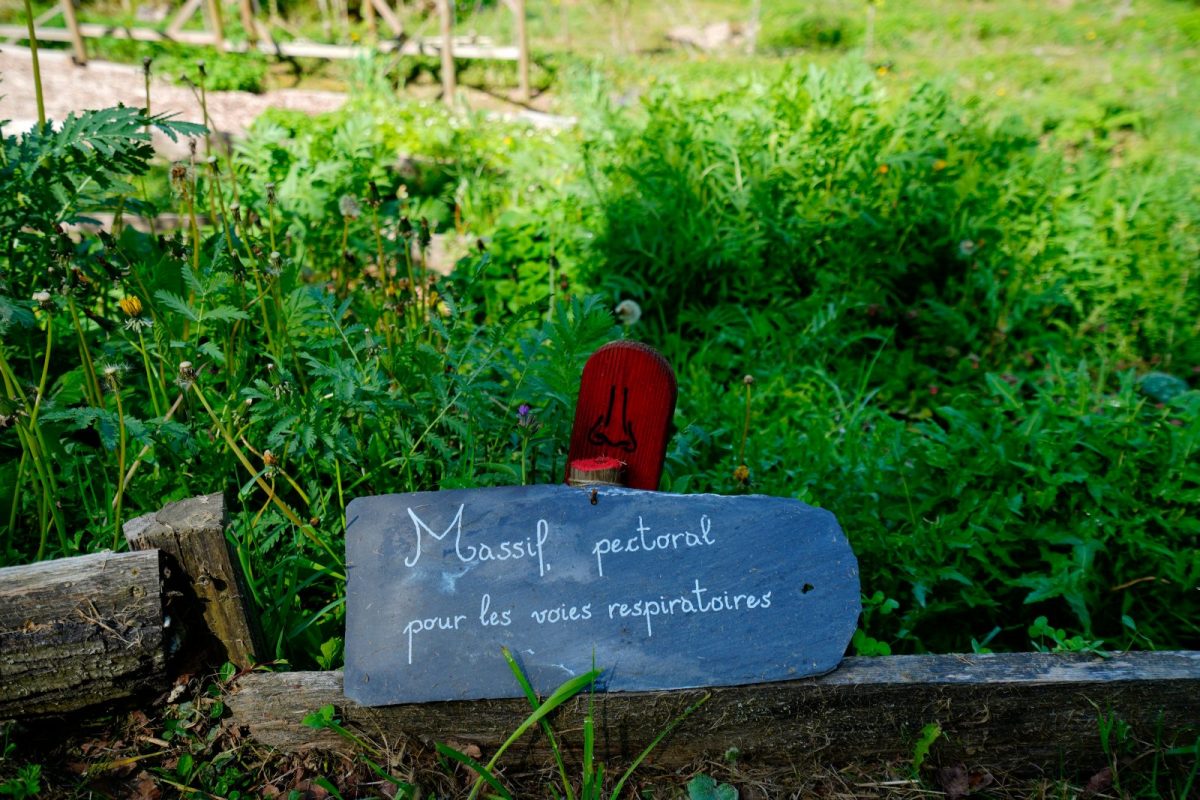 Visite guidée - Jardin Le Clos des Arômes Du 1 avr au 30 nov 2024