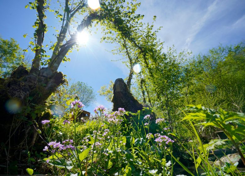 Visita guiada – Jardín Le Clos des Aromes