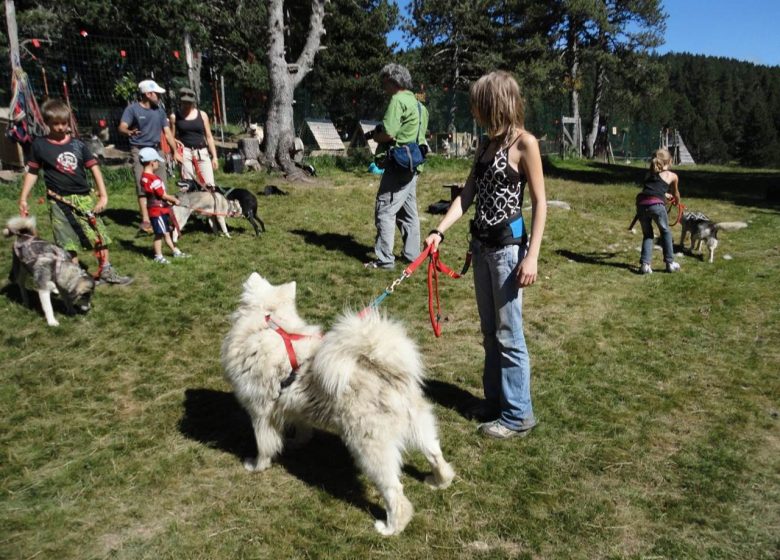 Cani-marche - caminata de 6 patas con Angaka