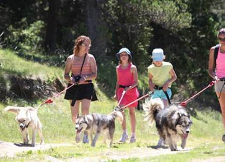 Cani-marche - Passeggiata a 6 zampe con Angaka