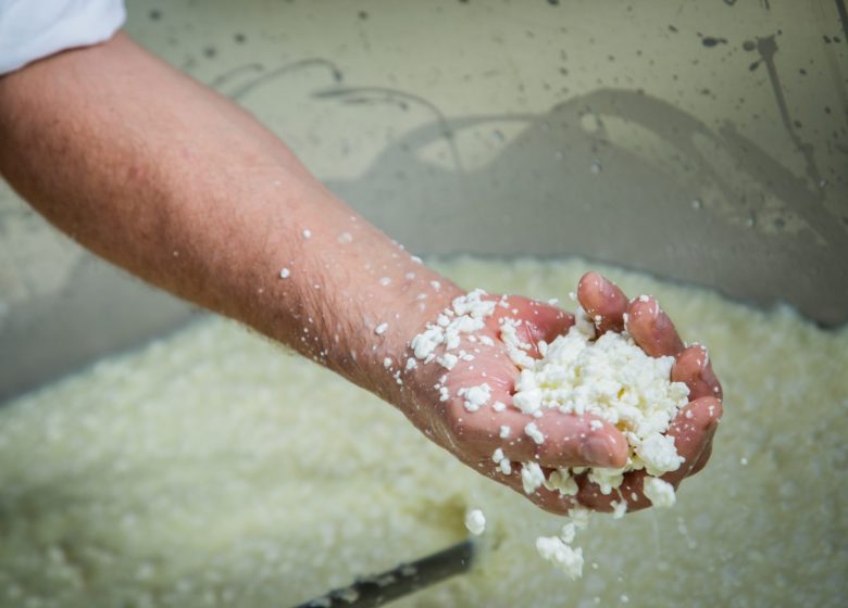 Visit of the Moulin gourmand cheese dairy