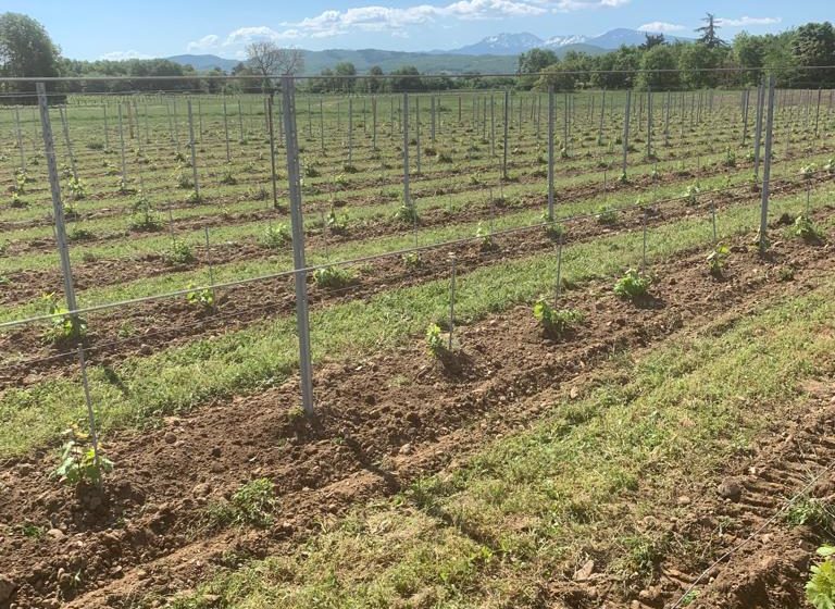 Domaine de Longpré