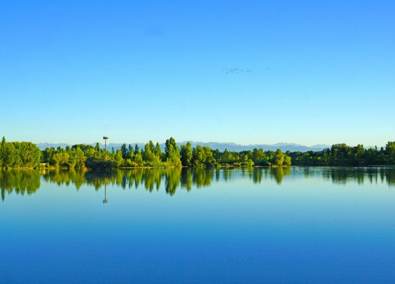 Home Domaine des Oiseaux – Ufficio del Turismo dei Pirenei Portes d'Ariège