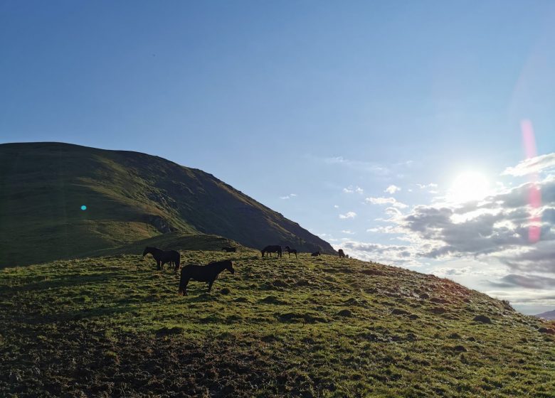 La Route des Cols