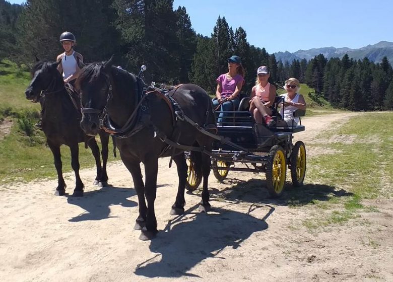 Paseo en carruaje tirado por caballos con Angaka Nordic Village